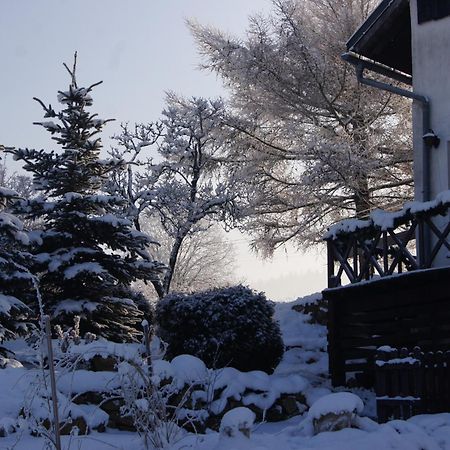 Pensjonat Nostalgia Sosnowka  Exterior photo
