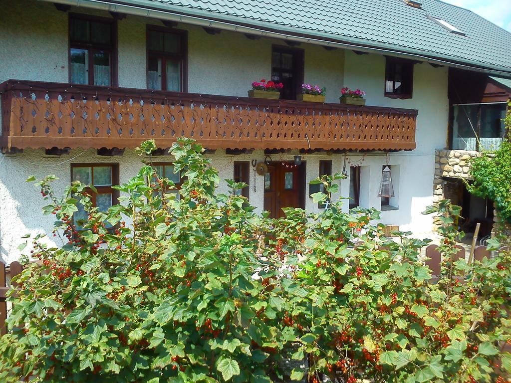 Pensjonat Nostalgia Sosnowka  Exterior photo