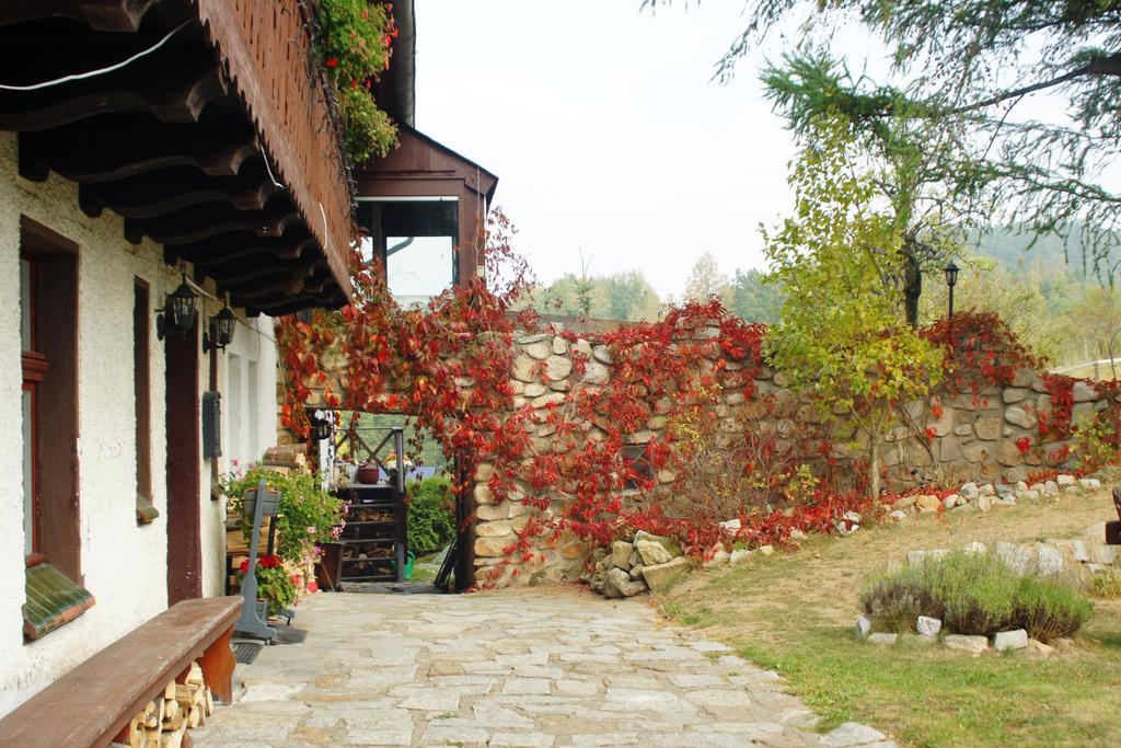 Pensjonat Nostalgia Sosnowka  Exterior photo