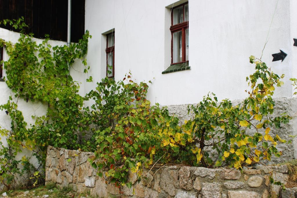 Pensjonat Nostalgia Sosnowka  Exterior photo